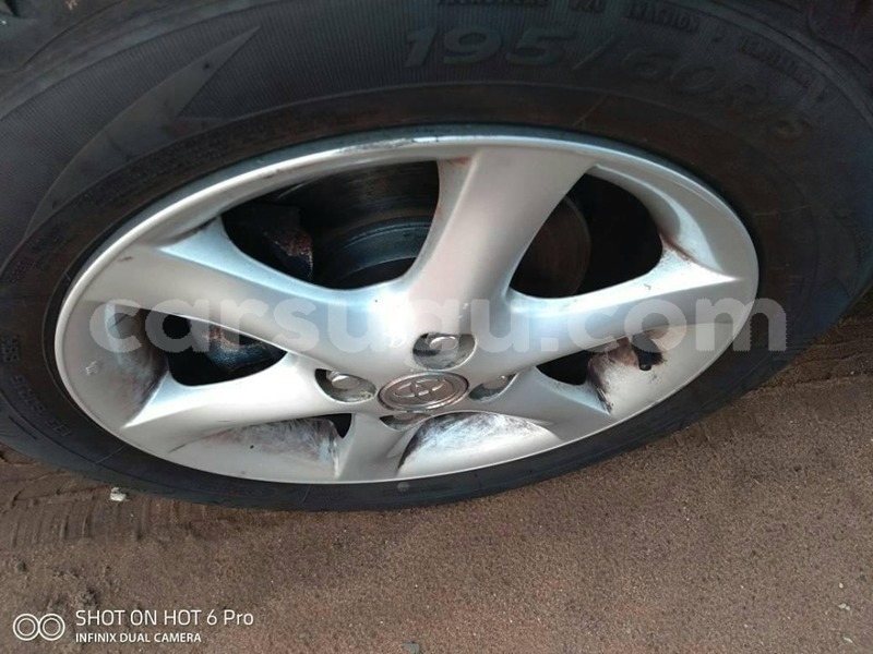 Big with watermark 61194841 1285997758223021 3822728924475949056 n