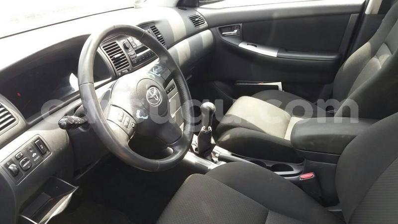 Big with watermark 60857604 1285997224889741 3278192702738399232 o