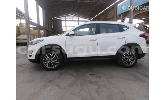 Sayi Imported Hyundai Tucson White Mota in Import - Dubai a Burkina Faso Sayi Imported Hyundai Tucson White Mota in Import - Dubai a Burkina Faso