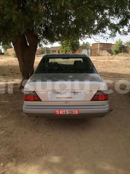 Big with watermark 15285033 1129442643839909 5134408343826197814 n