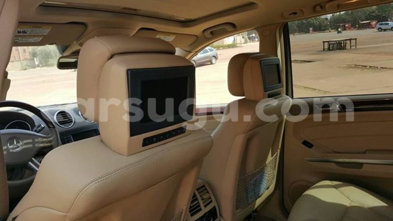 Big with watermark 15590123 1873629849587474 5620022596992670559 n