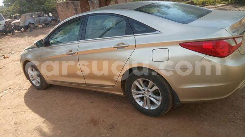 Big with watermark 15285033 1129442643839909 5134408343826197814 n