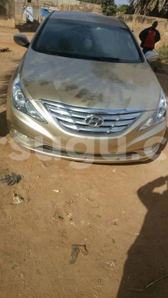 Big with watermark 15284065 1129442633839910 5230908860684797680 n