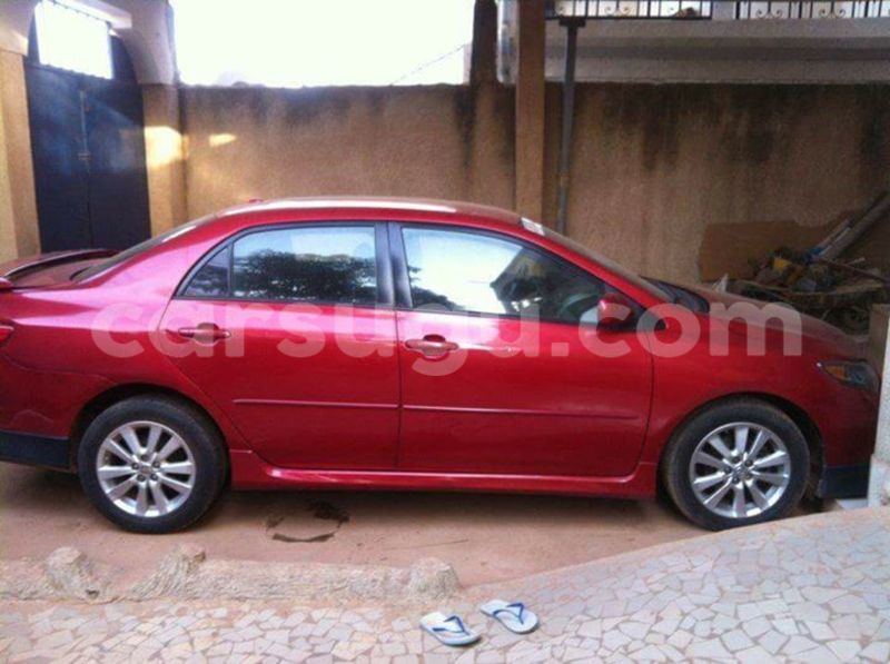 Big with watermark 15590123 1873629849587474 5620022596992670559 n