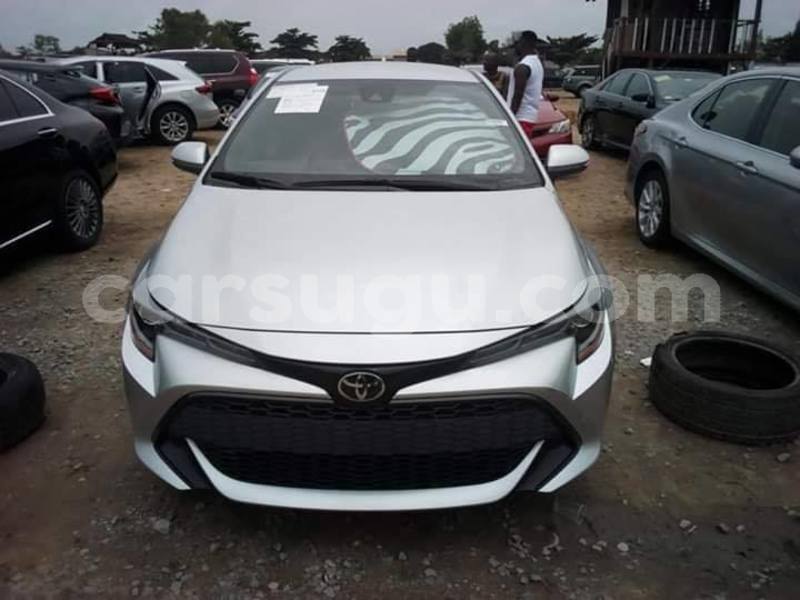 Big with watermark 67333269 1629119710558357 6691136765983457280 n