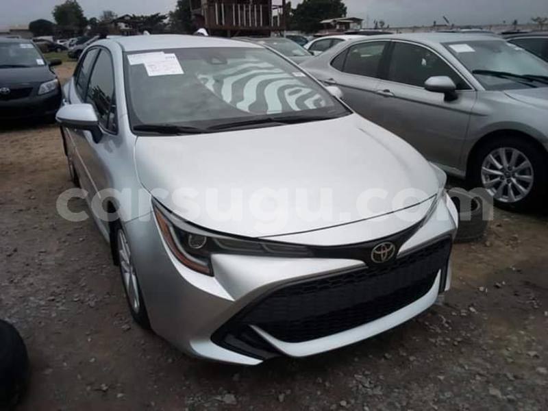 Big with watermark 67445078 1629119620558366 2245154034694488064 n