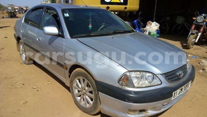 Big with watermark a