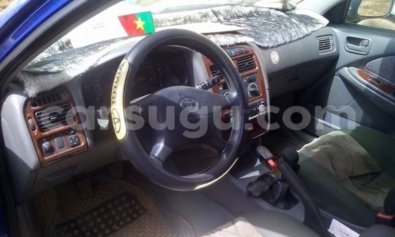 Big with watermark 15590123 1873629849587474 5620022596992670559 n