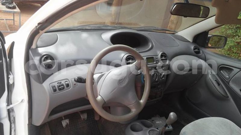 Big with watermark 16195545 964543743682119 5411391990017441485 n