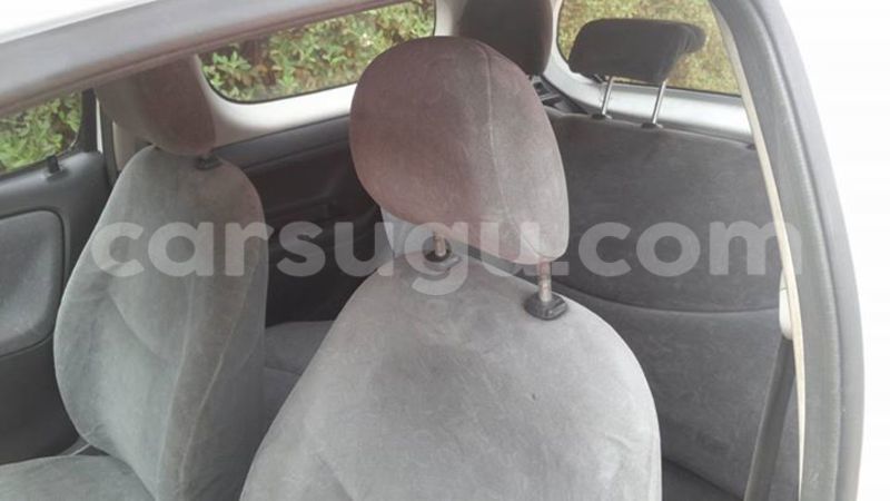 Big with watermark 16508254 1274170186008698 2940208769083644800 n