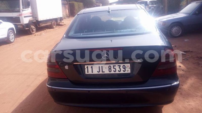 Big with watermark 15590123 1873629849587474 5620022596992670559 n