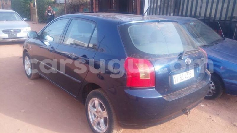 Big with watermark 15578737 1281570078576389 5086098407229006862 n