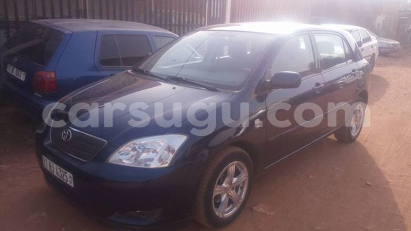 Big with watermark 15590123 1873629849587474 5620022596992670559 n