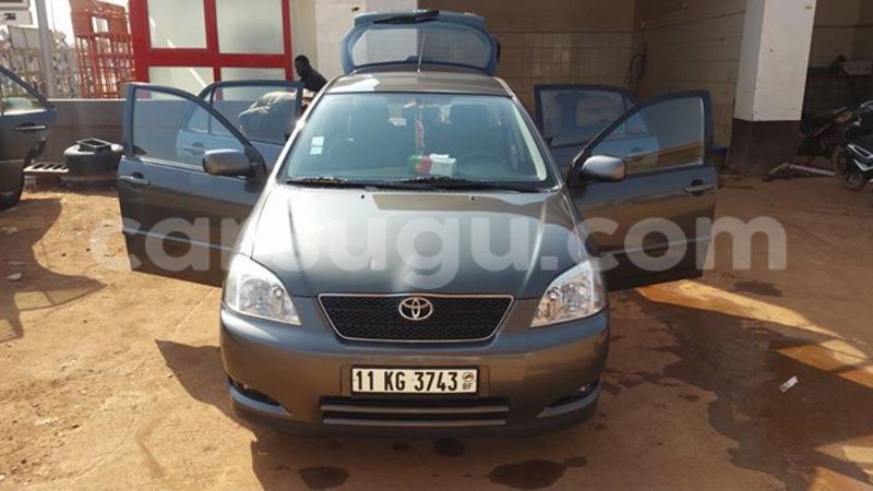 Big with watermark 16195545 964543743682119 5411391990017441485 n