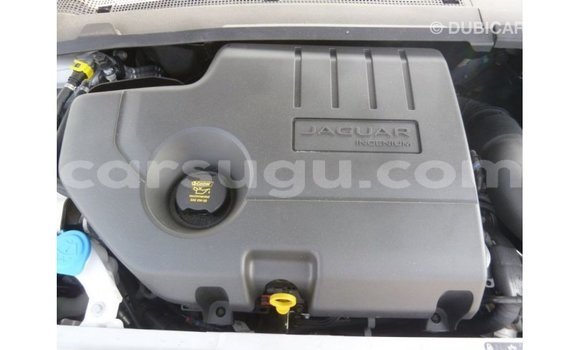 Sayi Imported Jaguar E-Pace White Mota in Import - Dubai a Burkina Faso Sayi Imported Jaguar E-Pace White Mota in Import - Dubai a Burkina Faso