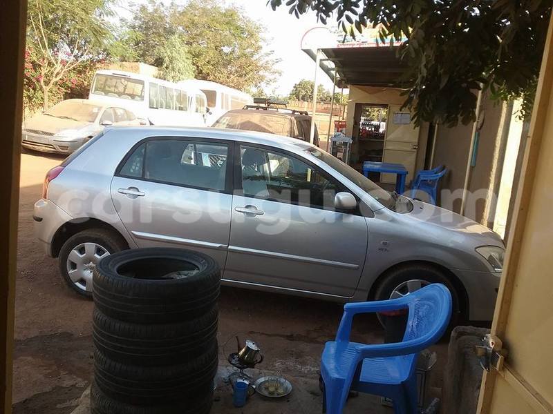 Big with watermark ggg