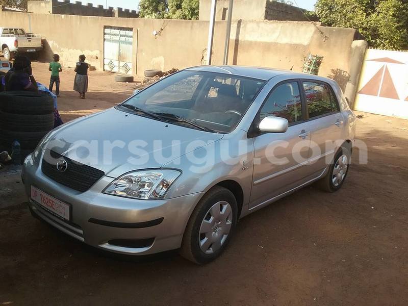 Big with watermark ggggg