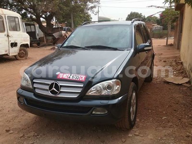 Big with watermark h