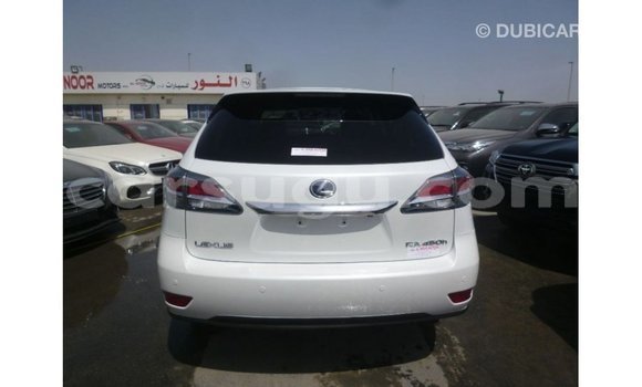 Sayi Imported Lexus RX White Mota in Import - Dubai a Burkina Faso Sayi Imported Lexus RX White Mota in Import - Dubai a Burkina Faso