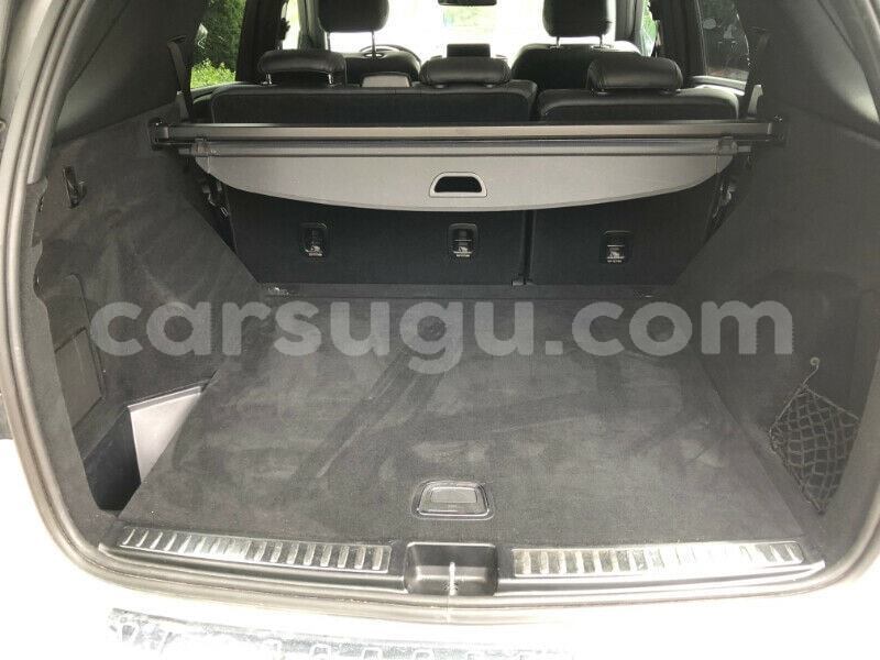 Big with watermark 69580643 1204569683055261 6416580375996268544 n