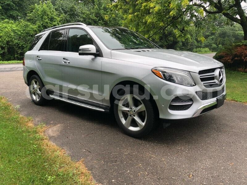 Big with watermark 69575884 1204569643055265 5283702190974697472 n