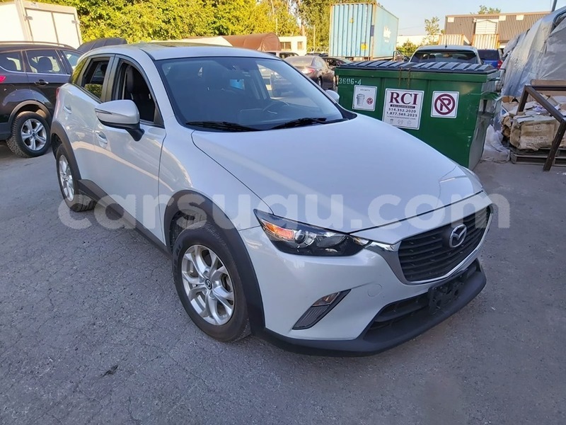 Big with watermark 69344215 1203645299814366 5122518699785322496 n