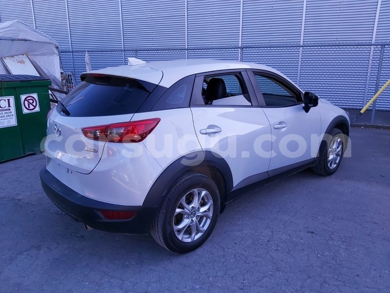 Big with watermark 69172824 1203645249814371 6453990576231546880 n