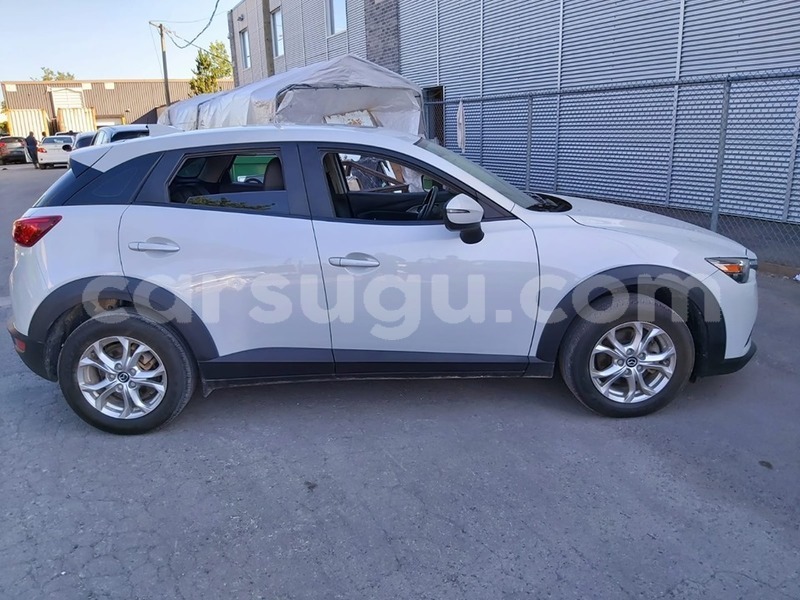 Big with watermark 69173922 1203645043147725 5794576417551286272 n