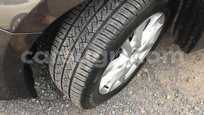 Big with watermark 69106382 1203251443187085 8033475296235618304 n