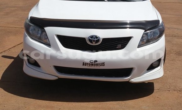 Acheter Neuf Voiture Toyota Corolla Blanc à Ouagadougou, Burkina-Faso Acheter Neuf Voiture Toyota Corolla Blanc à Ouagadougou, Burkina-Faso