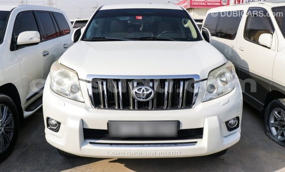 Acheter Import Voiture Toyota Prado Blanc à Import - Dubai, Burkina-Faso Acheter Import Voiture Toyota Prado Blanc à Import - Dubai, Burkina-Faso