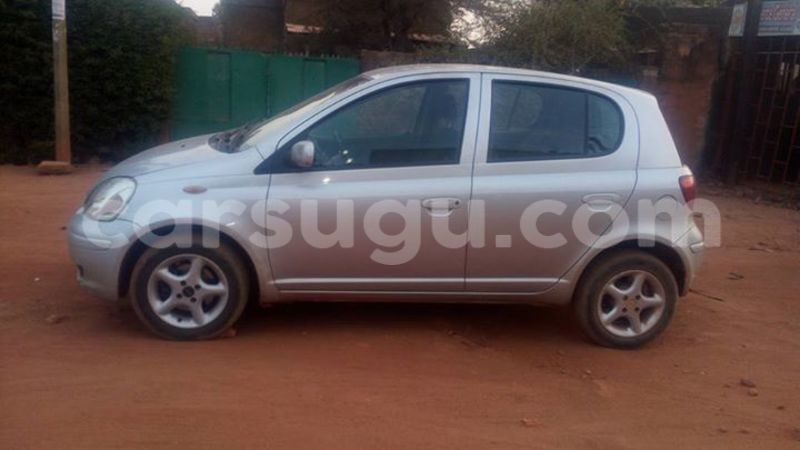 Big with watermark 15590123 1873629849587474 5620022596992670559 n