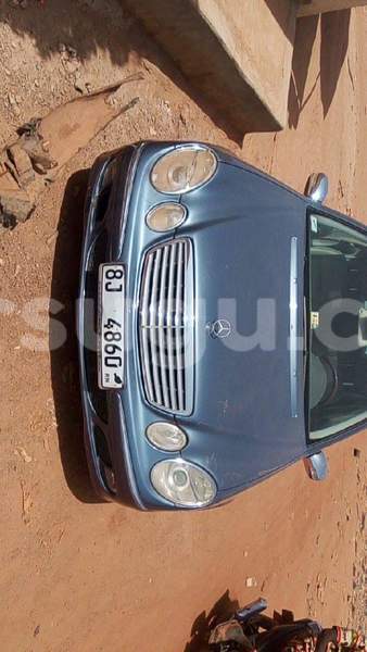 Big with watermark received 10209504085253842