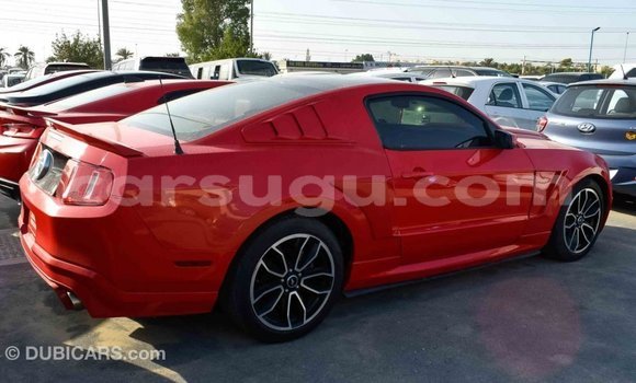 Sayi Imported Ford Mustang Red Mota in Import - Dubai a Burkina Faso Sayi Imported Ford Mustang Red Mota in Import - Dubai a Burkina Faso