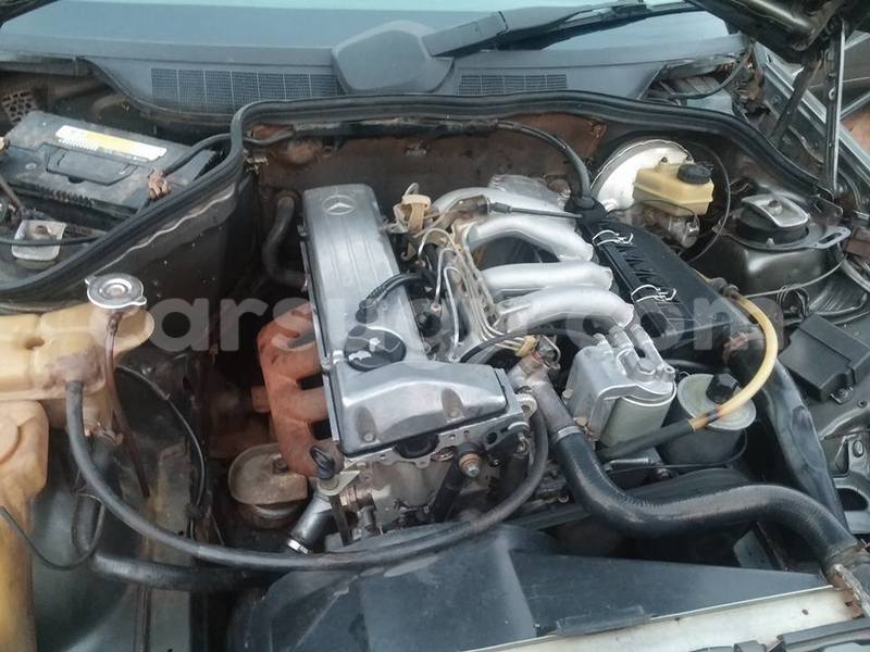 Big with watermark 16299227 1284429018289475 5943388659634541262 n