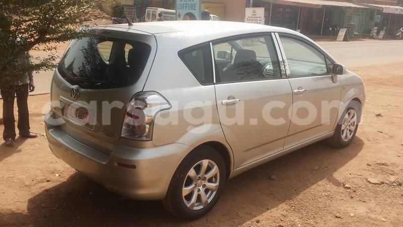 Big with watermark 11