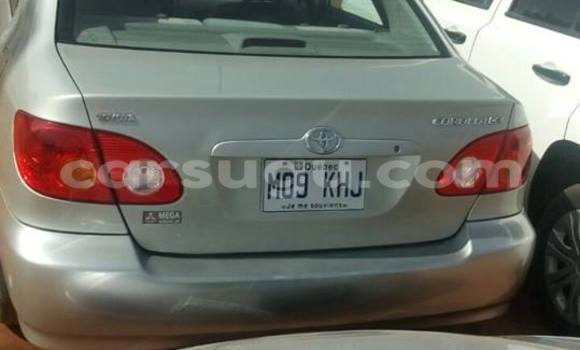 Acheter Occasion Voiture Toyota Corolla Gris à Ouagadougou, Burkina-Faso Acheter Occasion Voiture Toyota Corolla Gris à Ouagadougou, Burkina-Faso