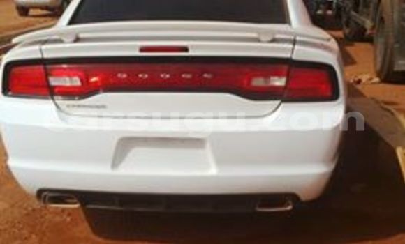Acheter Neuf Voiture Dodge Charger Blanc à Ouagadougou au Burkina-Faso Acheter Neuf Voiture Dodge Charger Blanc à Ouagadougou au Burkina-Faso