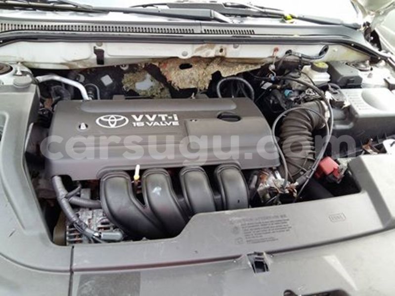 Big with watermark z