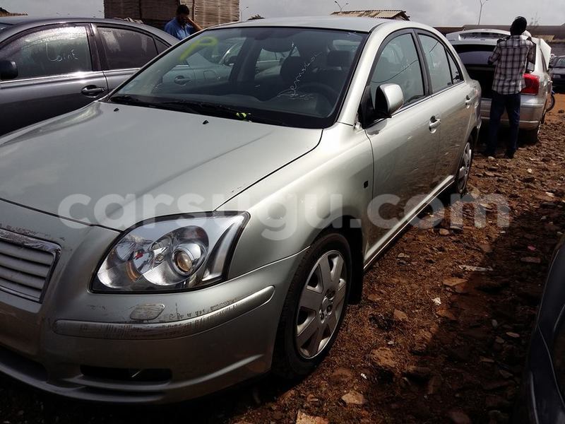 Big with watermark zz