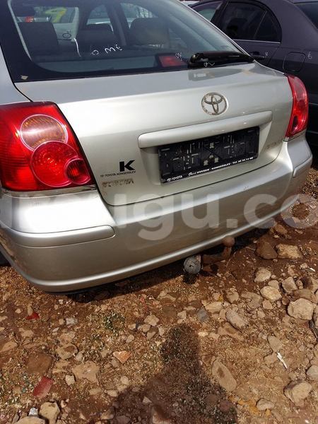 Big with watermark zzzz