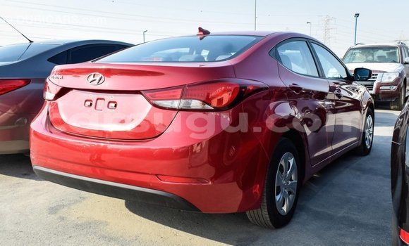 Sayi Imported Hyundai Elantra Red Mota in Import - Dubai a Burkina Faso Sayi Imported Hyundai Elantra Red Mota in Import - Dubai a Burkina Faso