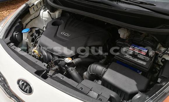 Acheter Neuf Voiture Kia Spectra Blanc à Ouagadougou, Burkina-Faso Acheter Neuf Voiture Kia Spectra Blanc à Ouagadougou, Burkina-Faso