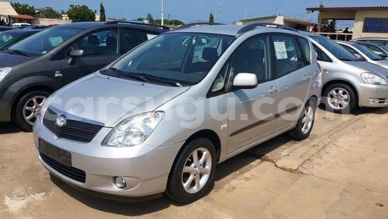 Big with watermark 0