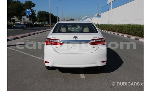 Sayi Imported Toyota Corolla White Mota in Import - Dubai a Burkina Faso Sayi Imported Toyota Corolla White Mota in Import - Dubai a Burkina Faso