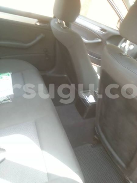 Big with watermark 17264191 401547126877183 3616667460610533917 n