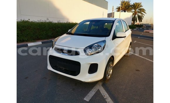 Buy Import Kia Picanto White Car in Import - Dubai in Burkina Faso Buy Import Kia Picanto White Car in Import - Dubai in Burkina Faso