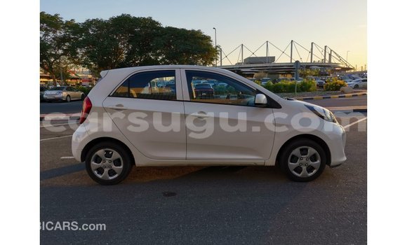 Buy Import Kia Picanto White Car in Import - Dubai in Burkina Faso Buy Import Kia Picanto White Car in Import - Dubai in Burkina Faso