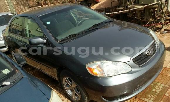 Acheter Occasion Voiture Toyota Corolla Gris à Ouagadougou, Burkina-Faso Acheter Occasion Voiture Toyota Corolla Gris à Ouagadougou, Burkina-Faso