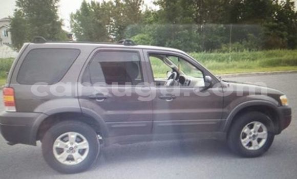 Acheter Neuf Voiture Ford Escape Noir à Ouagadougou, Burkina-Faso